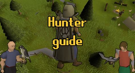 Hunter. This guide describes the most effective methods to train the Hunter skill. The experience rate estimates in this guide do not incorporate the use of any experience boosting items or bonus experience. They also assume that players are not banking any products that they obtain from hunting. 